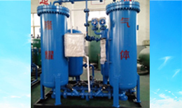 LY-99.9-100食品行業(yè)制氮機